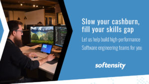 Software Engineering Workforce